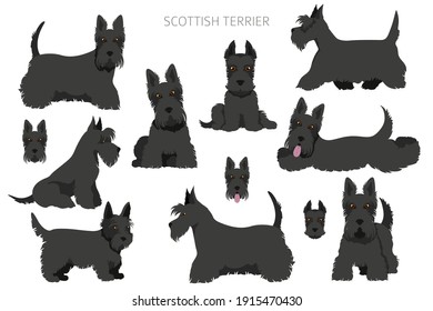 Perros de terror escoceses con diferentes poses y colores de abrigo. Equipo de sabios para adultos y cachorros.  Ilustración del vector