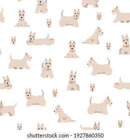 Scottish terrier dogs in different poses and coat colors. Adult and puppy scottie seamless pattern.  Vector illustration