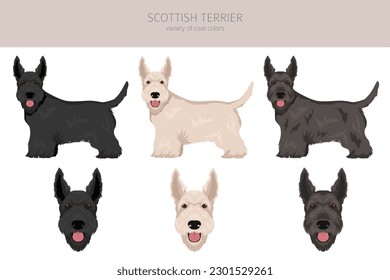 Perros de terror escoceses con diferentes poses y colores de abrigo. Equipo de sabios para adultos y cachorros.  Ilustración del vector