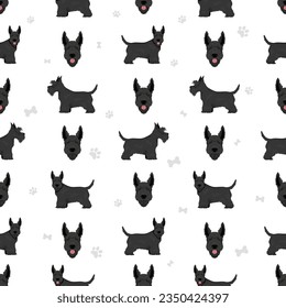 Scottish terrier dogs in different poses and coat colors. Adult and puppy scottie seamless pattern.  Vector illustration