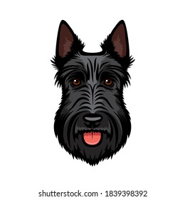 Scottish terrier face Scottie dog isolated vector illustration