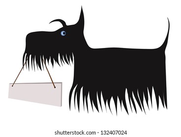 Scottish terrier holding a board