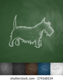 scottish terrier icon. Hand drawn vector illustration. Chalkboard Design