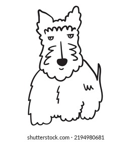 Scottish Terrier. Outline icon vector illustration.