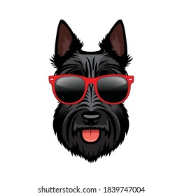 Scottish terrier with red sunglasses Scottie dog isolated vector illustration