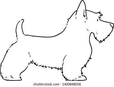 Scottish Terrier side body outline 
