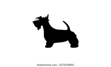 scottish terrier silhouette, high quality vector