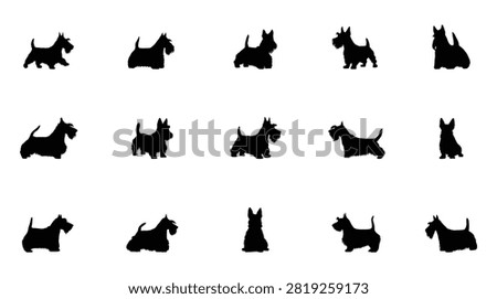 Scottish Terrier silhouettes on white background