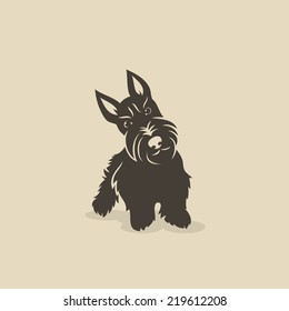 Scottish terrier - vector illustration