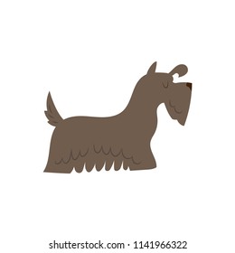 scottish terrier vector illustration made in cartoon style