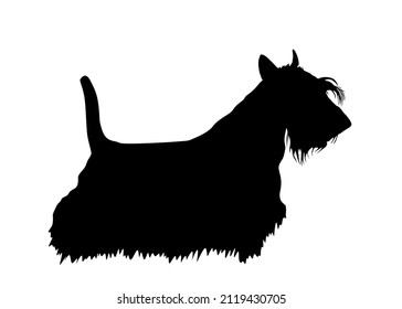 Scottish Terrier vector silhouette illustration isolated on white background. Dog shape shadow. Lovely pet. Aberdeen terrier dog silhouette.