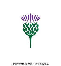 Scottish Thistle flower logo illustration