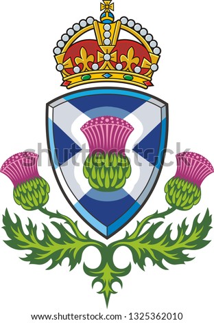Scottish thistle .Symbol of Scotland. Vector 