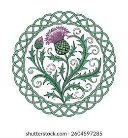 Scottish thistle vector Line art in Celtic style flower illustration