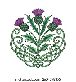 Scottish thistle vector Line art in Celtic style flower illustration