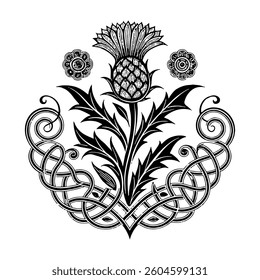 Scottish thistle vector Line art in Celtic style flower illustration