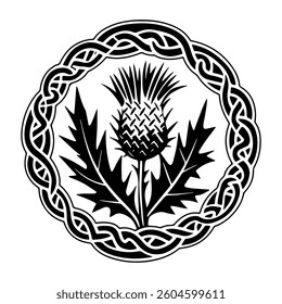Scottish thistle vector Line art in Celtic style flower illustration