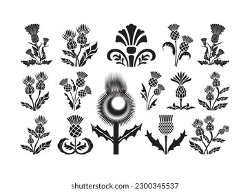 Scottish Thistle vector For Print, Scottish Thistle Clipart, Scottish Thistle vector Illustration