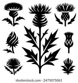 Scottish Thistles Silhouette, Ideal for Nature and Cultural Themes - Flat Vector Illustration