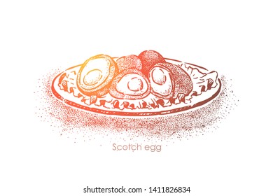 Scottish traditional food, british cuisine dish, boiled egg smeared in minced meat and fried in breadcrumbs. English restaurant menu, gourmet meal concept sketch. Hand drawn vector illustration