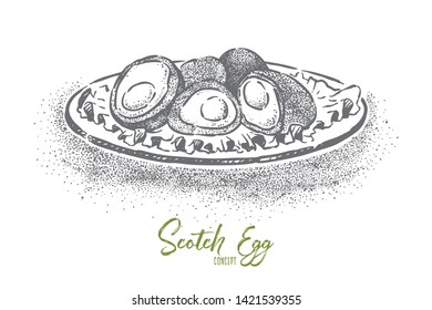 Scottish traditional food, british cuisine dish, boiled egg smeared in minced meat and fried in breadcrumbs. English restaurant menu, gourmet meal concept sketch. Hand drawn vector illustration