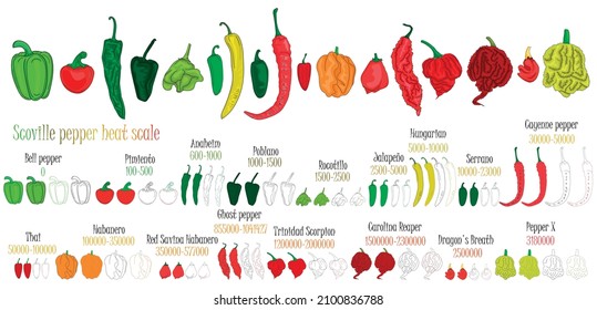 Scoville pepper heat scale. Pepper illustration from sweetest to very hot. Color and outlines peppers.