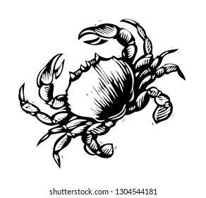 Scratch board illustration of crab.