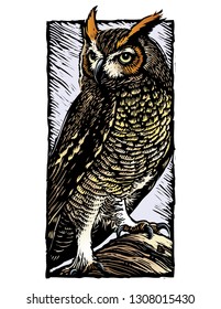 Scratch board illustration of owl.