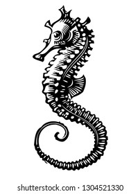 Scratch board illustration of seahorse.