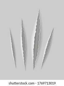 scratch claw cuts paper with transparent shadows for design vector illustration isolated on background