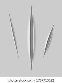 scratch claw cuts paper with transparent shadows for design vector illustration isolated on background