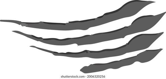 scratch claw monochrome vector art