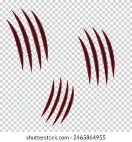 Scratch claws of animal, scratch scrape track, scratches paw shape – stock vector
