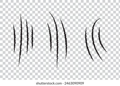 Garras de arañazo de animal, conjunto de marcas de arañazos, pista de arañazo, gato tigre arañazos forma de pata - Vector