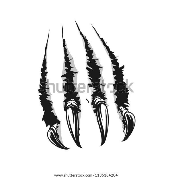 Scratch Claws Animals Realistic Sketch Hole Stock Vector (Royalty Free ...