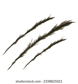 Scratch mark, Vektorgrafik. Kratzmarken