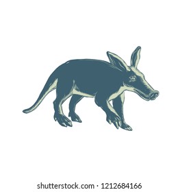 Scratchboard style illustration of an aardvark, a medium-sized, burrowing, nocturnal mammal that is an insectivore with a long pig-like snout done on scraperboard on isolated background.