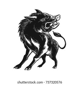 Scratchboard style illustration of an angry wild hog, feral pig, wild boar or razorback roaring viewed from low angle in front done on scraperboard on isolated background.