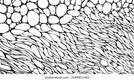 Scratched and Cracked Grunge Urban Background Texture Vector. Dust Overlay Distress Grainy Grungy Effect. Distressed Backdrop Vector Illustration. Isolated Black on White Background. EPS 10.