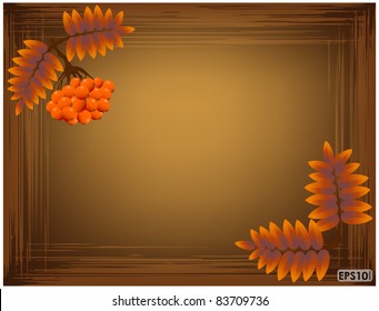 Scratched frame with a dark brown background of lines, berries and autumn leaves of mountain ash