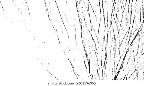 Scratched Grunge Urban Background Texture Vector. Dust Overlay Distress Grainy Grungy Effect. Distressed Backdrop Vector Illustration. Isolated Black on White Background. EPS 10.