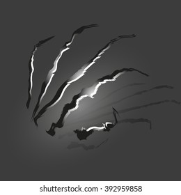 scratches from paws on a dark gray background with light and shadow