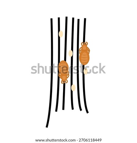 Scratching Head with Lice. Lice infection concept