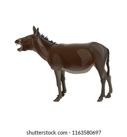 Screaming donkey. Side view. Vector illustration isolated on white background