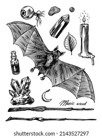 Screaming Flying Bat Sketch. Candle And Eye, Potion And Magic Wand. Vintage Engraving Sketch. Doodle Outline. Hand Drawing.