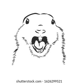 screaming groundhog portrait, wild animal, vector sketch illustration 
