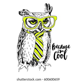 Screech-owl in the bright striped tie and neon yellow glasses. Vector illustration.