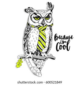 Screech-owl in the bright striped tie on a branch. Vector illustration.