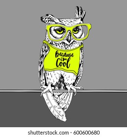 Screech-owl in the bright t-shirt and neon yellow glasses on a gray background. Vector illustration.