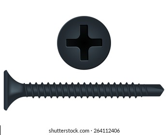 Screw And Screw Head.     Vector Illustration Isolated On White Background